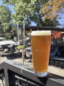 Hopfenschlägen Fresh Hopped IPA