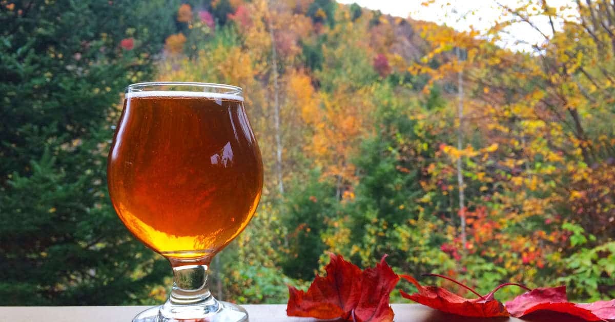 Photo of beer fall