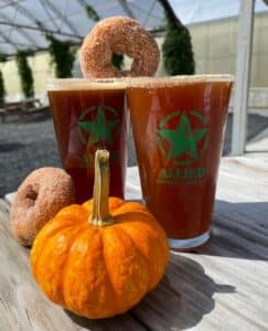 Allied Brewing Company Apple Cider Donut Ale
